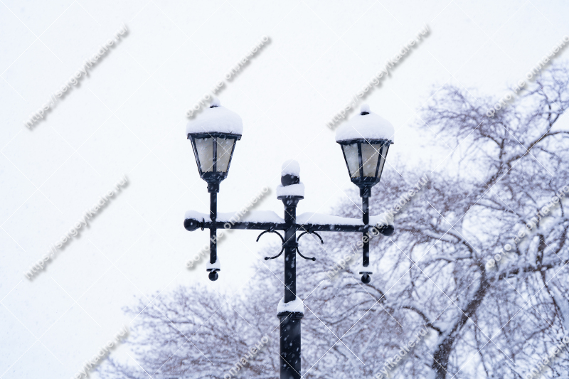 Фото